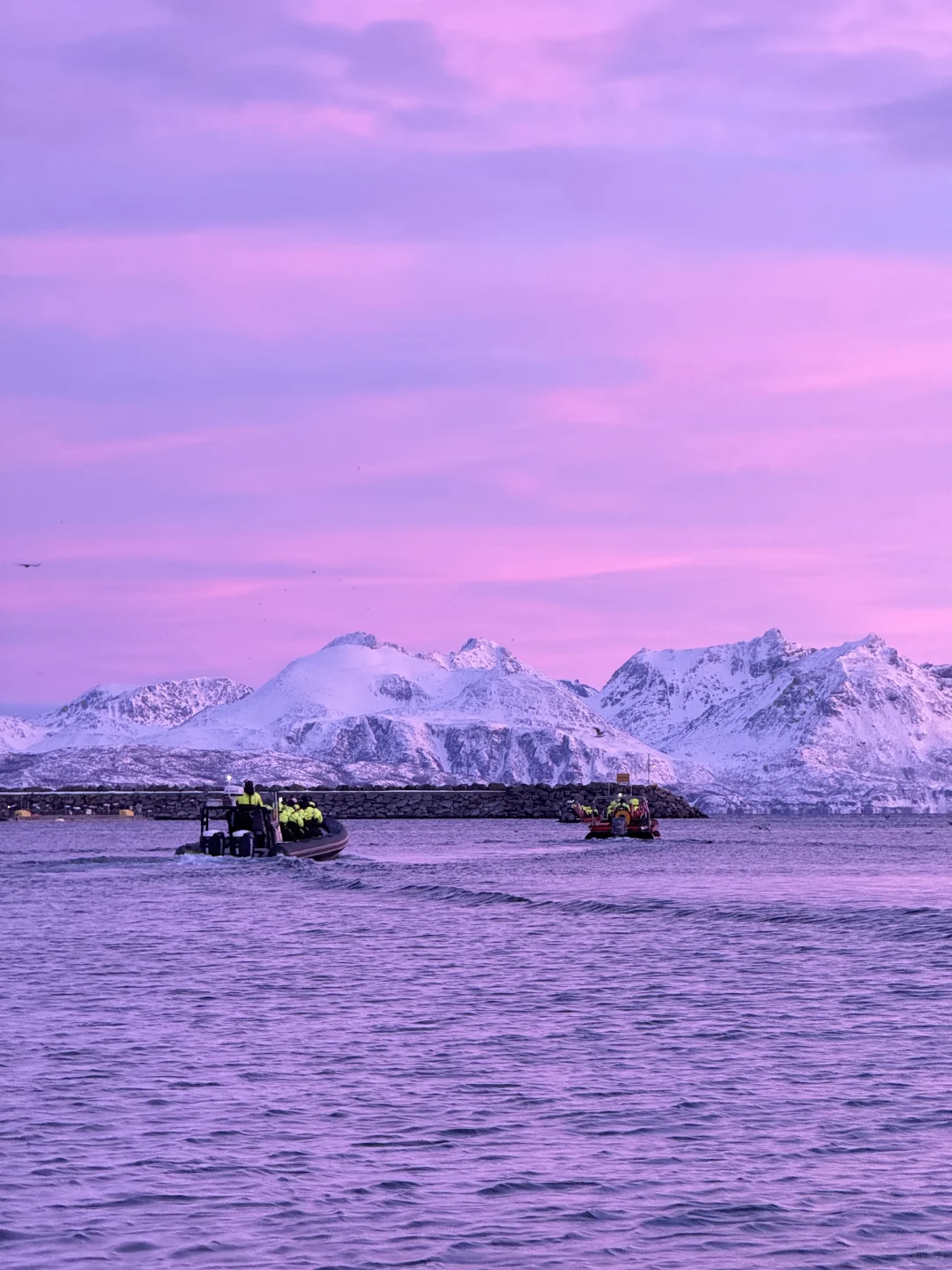 Live图的意义 极夜观鲸 画都不敢这么这么画