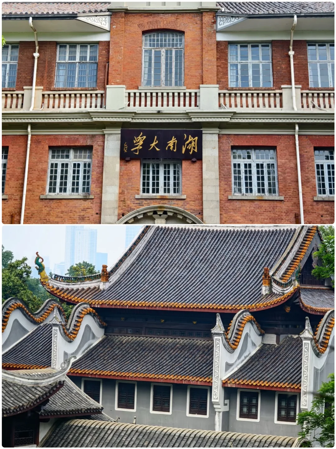 适合短途出游,零差评的四个城市❗️