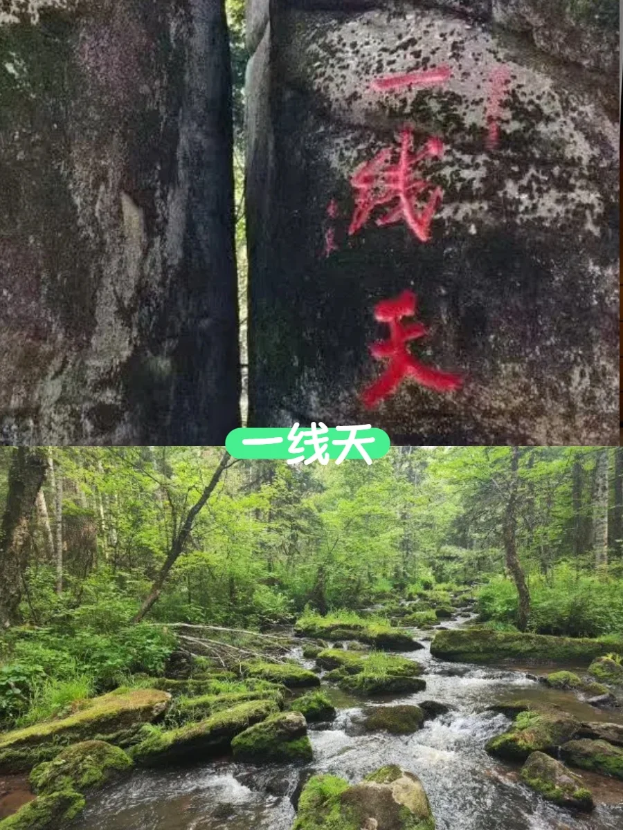 伊春第1⃣站｜汤旺河，绿野仙踪入口在这里