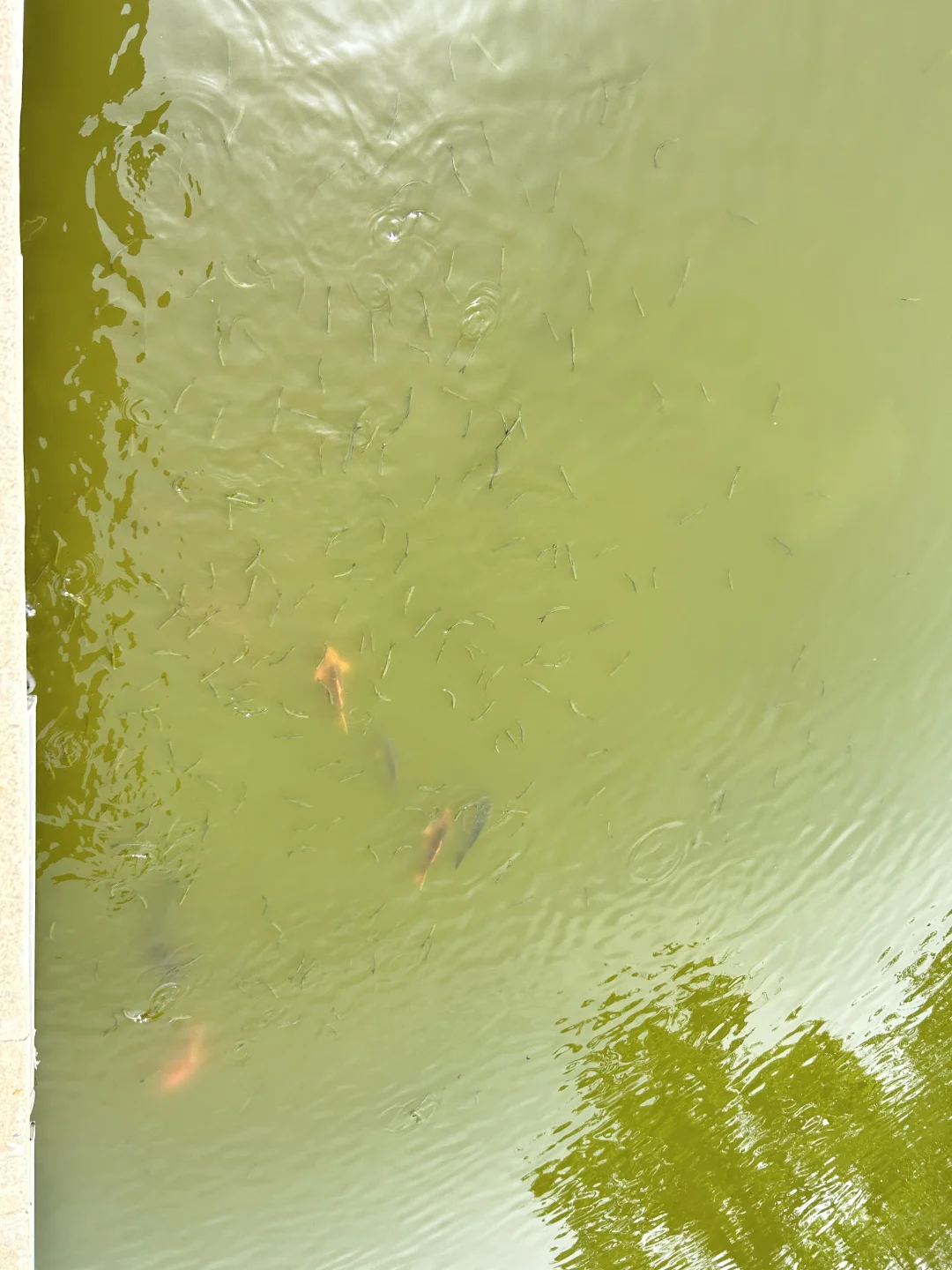 鼋头渚行李寄存，蕞新位置、价格和避坑～