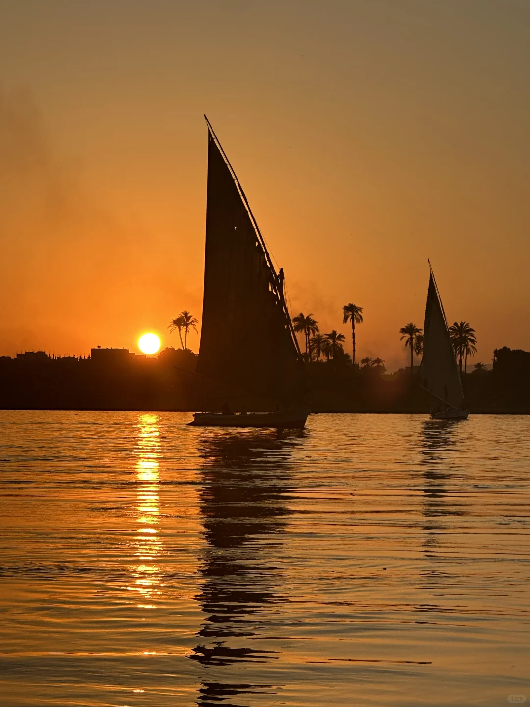 🇪🇬｜如果你有7天假期请留给埃及