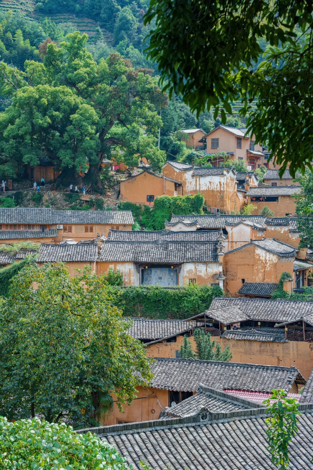 相比杭州，我更爱国家地理推荐的冷门小城