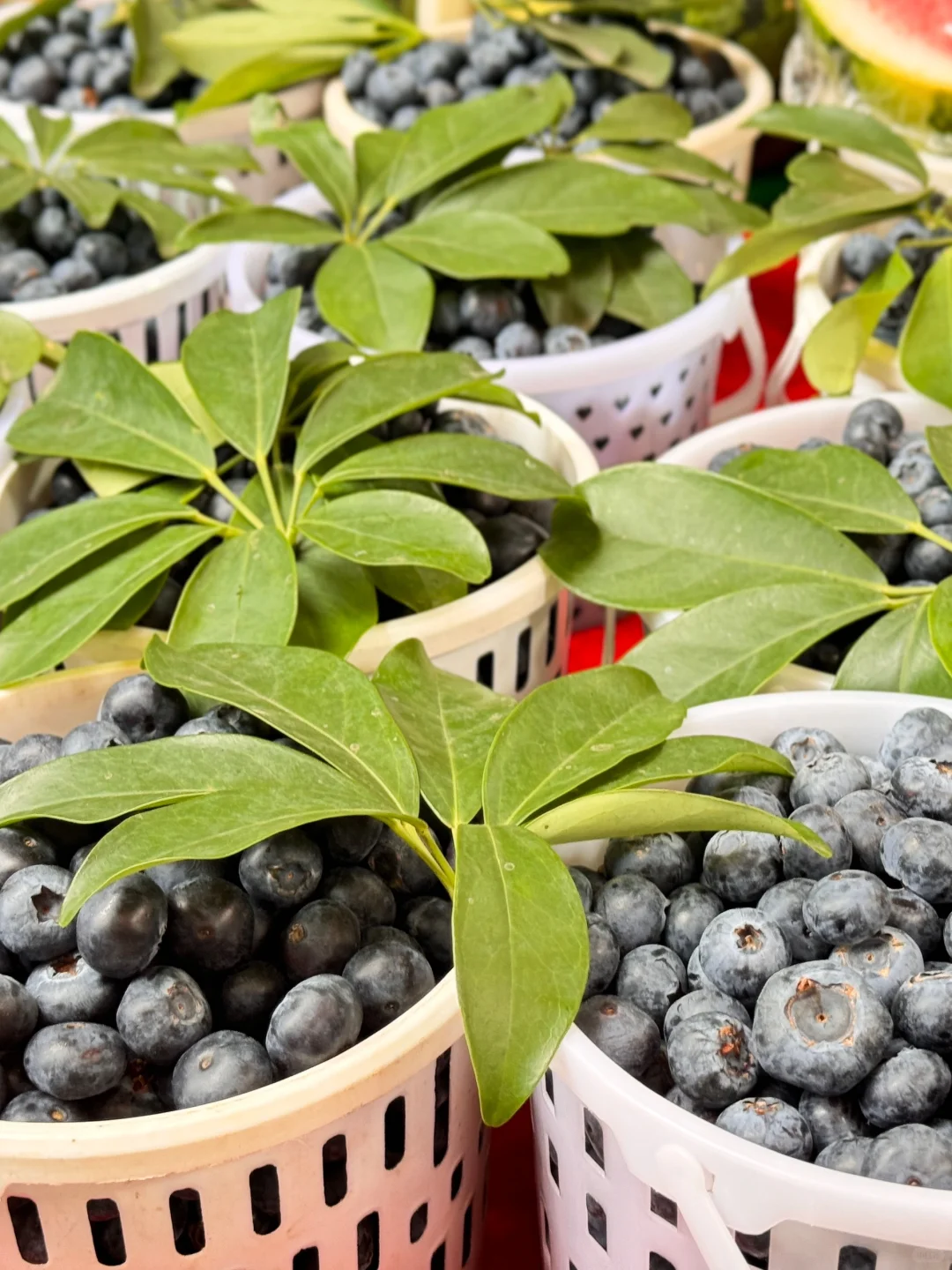 柳州行-旅游攻略