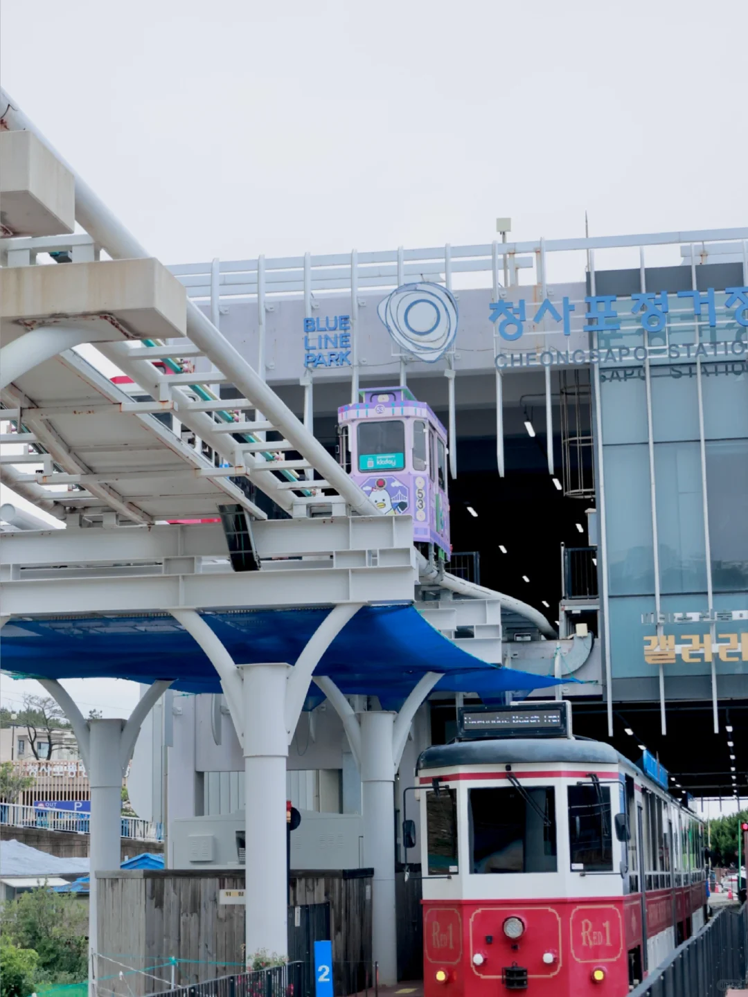 韩国|我的人生城市釜山