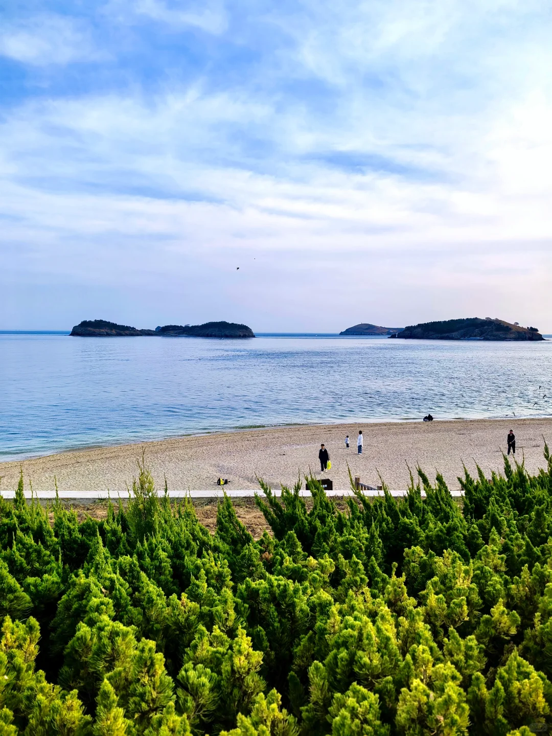 来大连📷这个机位千万不能错过‼️（附定位）