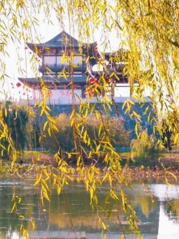 河北邯郸魏县|礼贤台·魏祠·神龟驮城