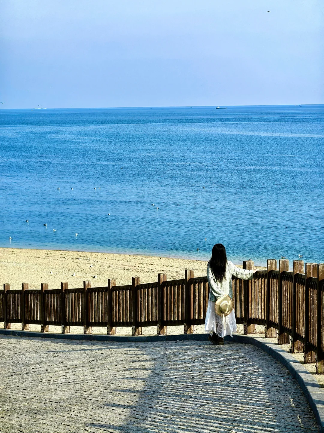 来大连📷这个机位千万不能错过‼️（附定位）