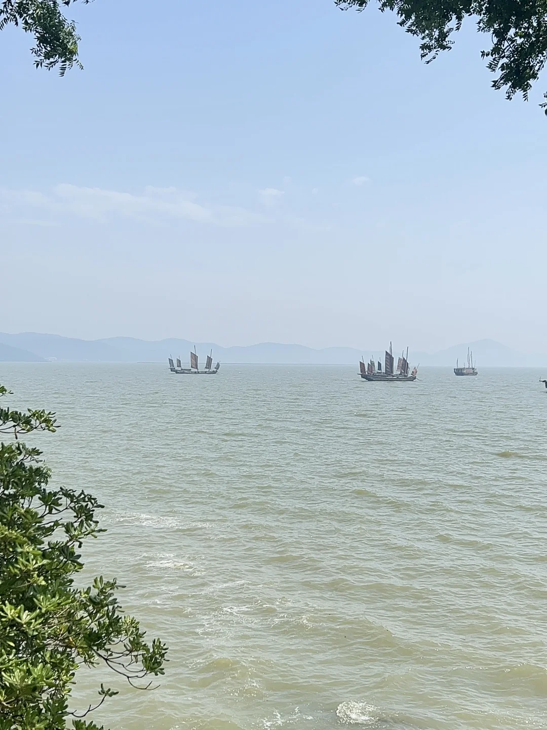 鼋头渚行李寄存，蕞新位置、价格和避坑～