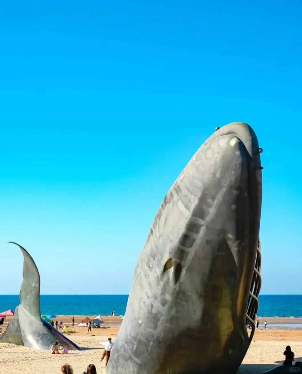 🌊烟台旅游攻略｜本地人整理七条避坑指南‼️