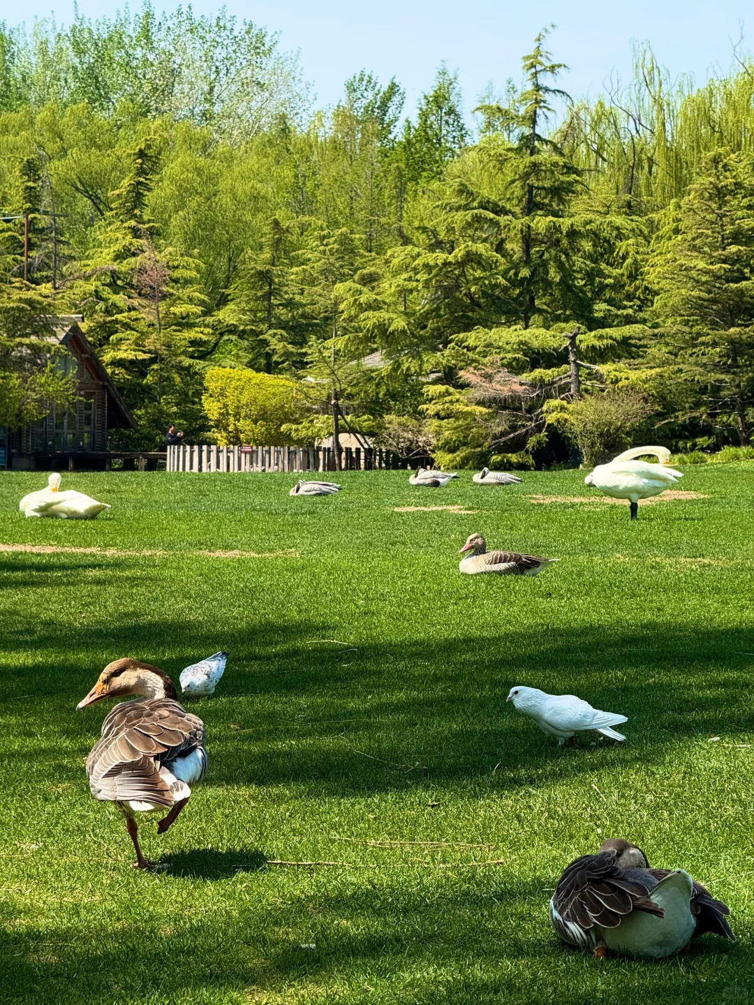 果然。。北京最牛逼的地方都是免费的!!(合集)