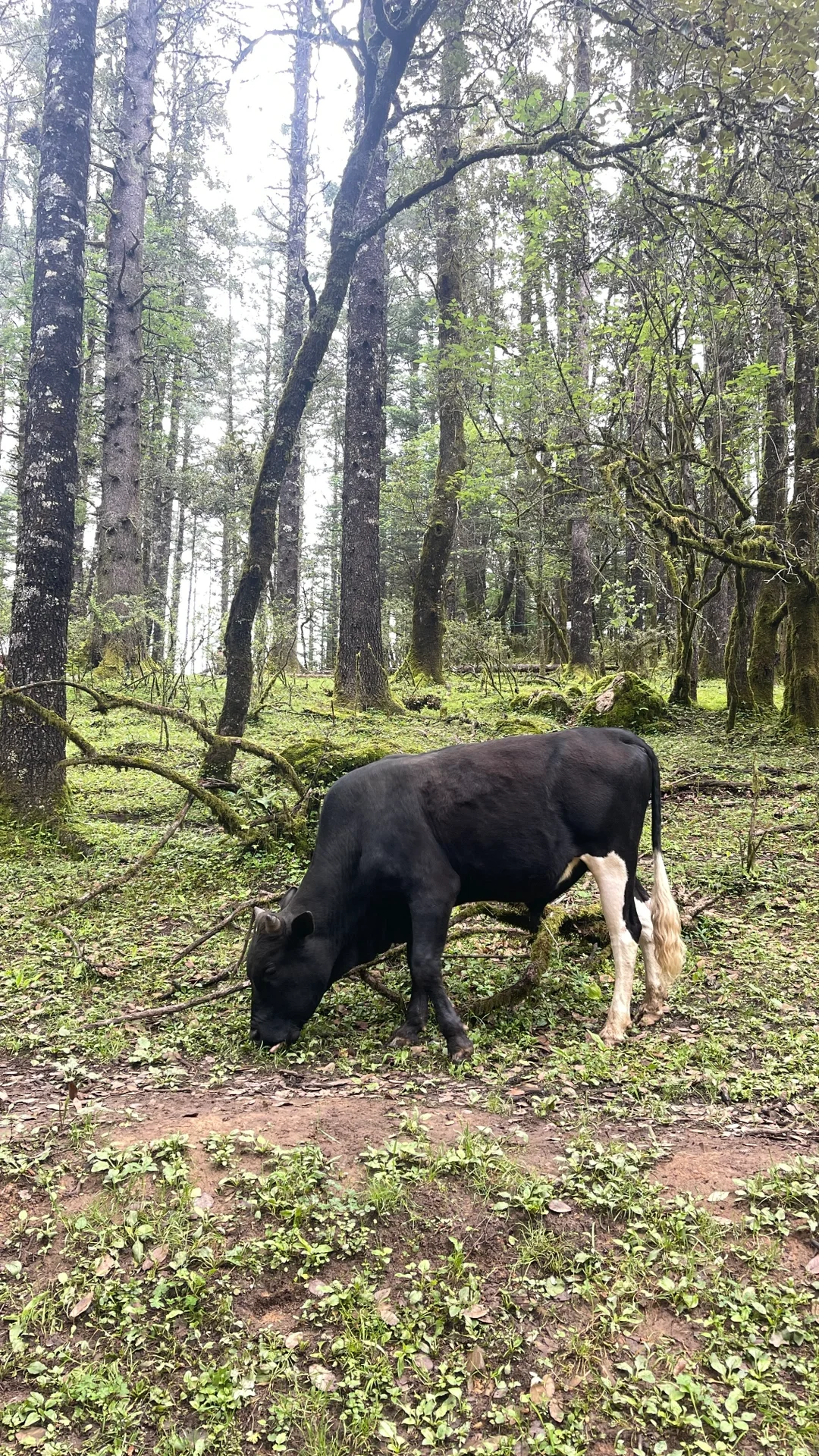亲子自驾游，解锁26个省100市的旅行秘籍✨
