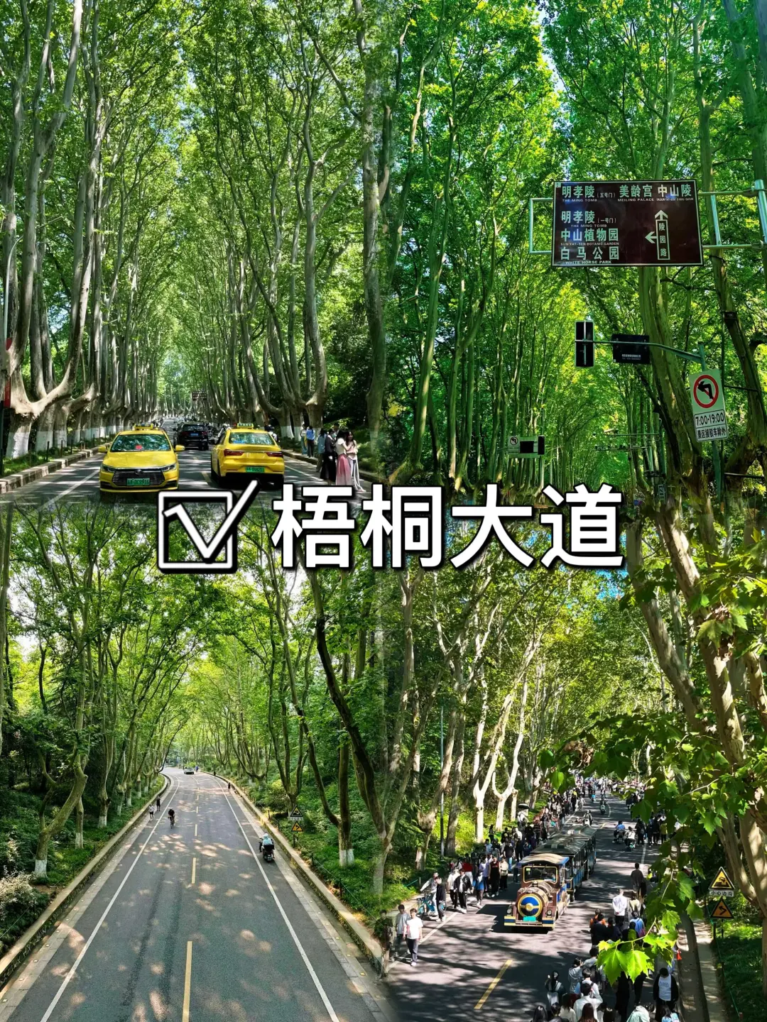 03女大📍南京/两日游精华版旅游攻略❗️