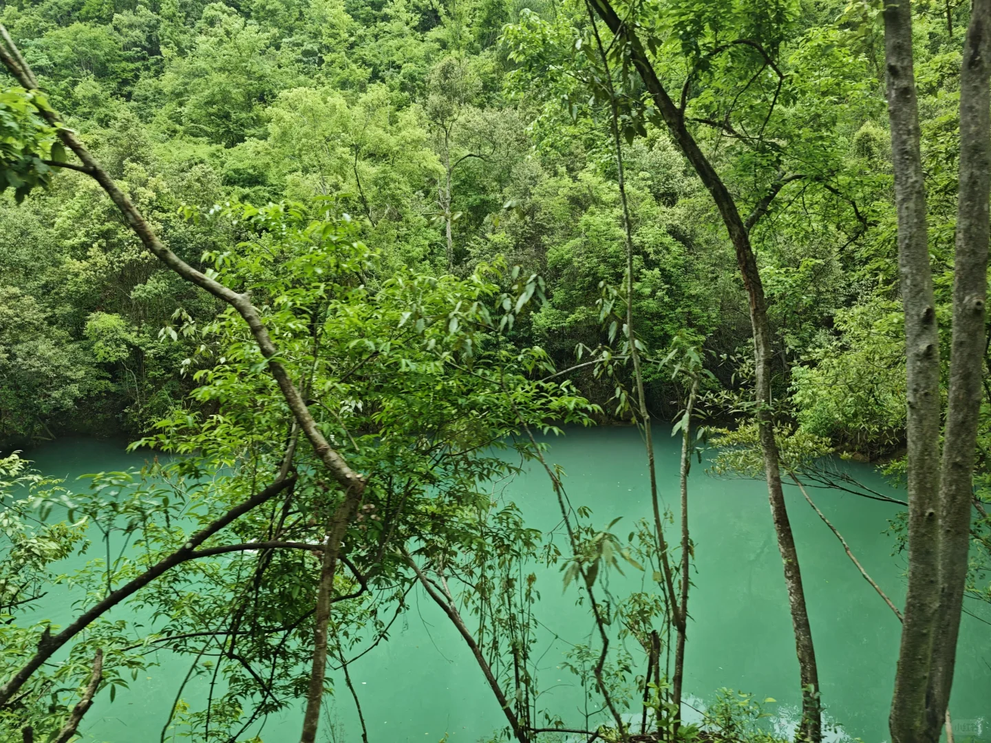 贵州景色很好，但下次不会去了