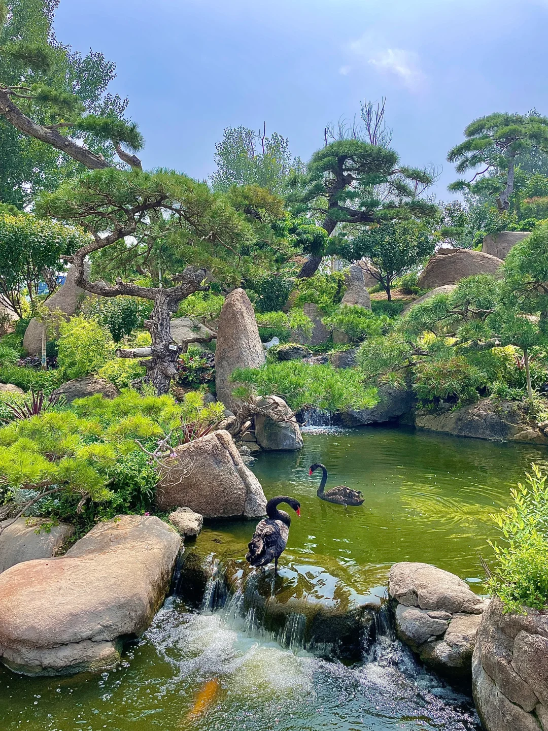 果然。。北京最牛逼的地方都是免费的!!(合集)