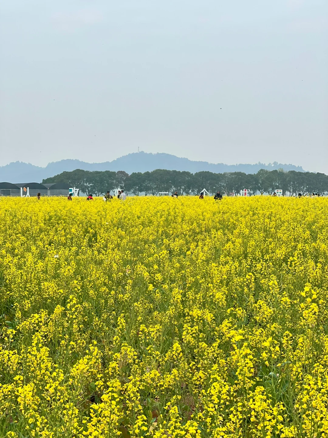 广州citywalk | 长洲岛真的好治愈啊
