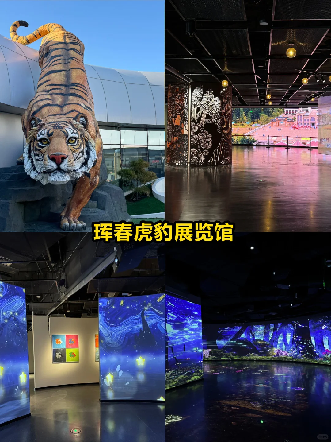 写给5-6月去延吉的姐妹👭🏻超全避雷攻略‼