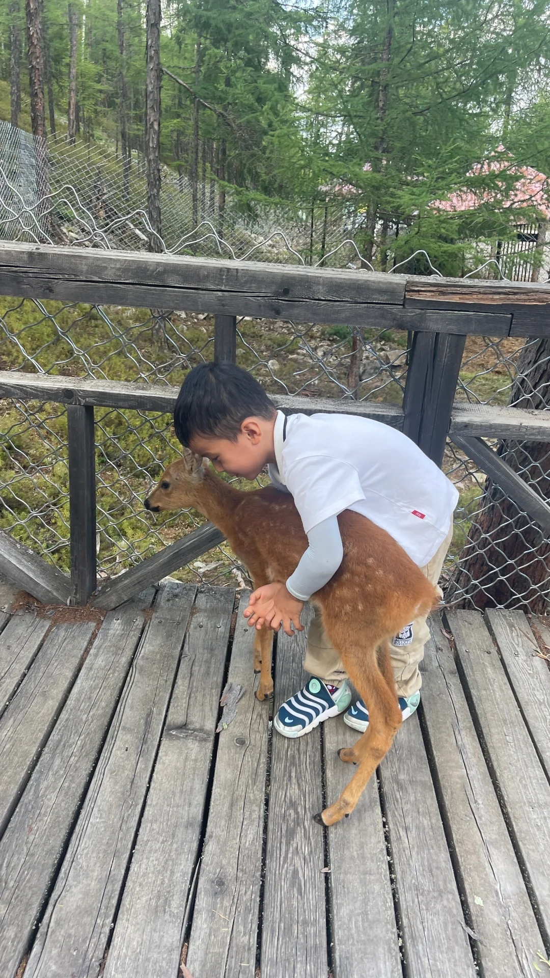 亲子自驾游，解锁26个省100市的旅行秘籍✨