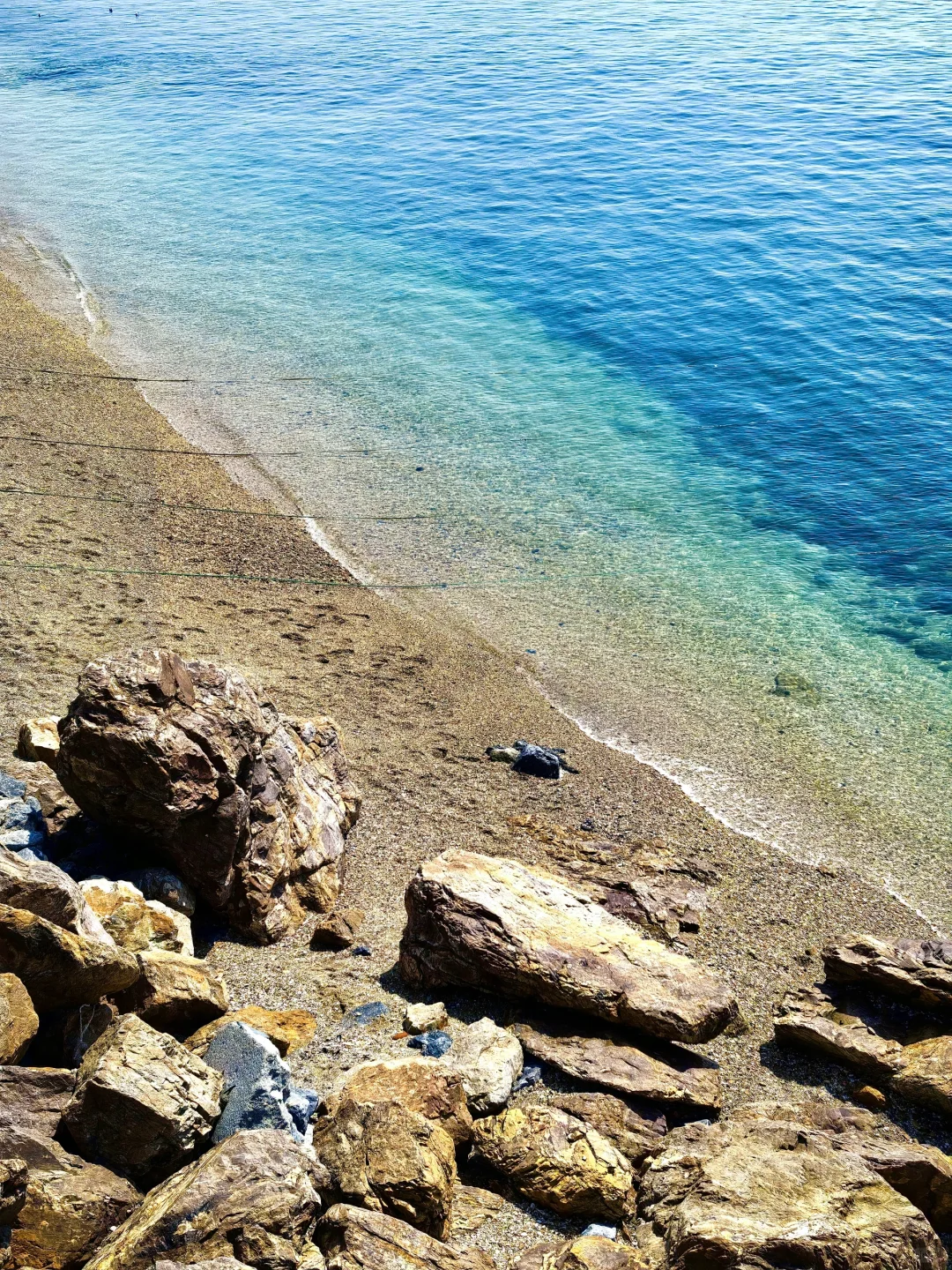 来大连📷这个机位千万不能错过‼️（附定位）