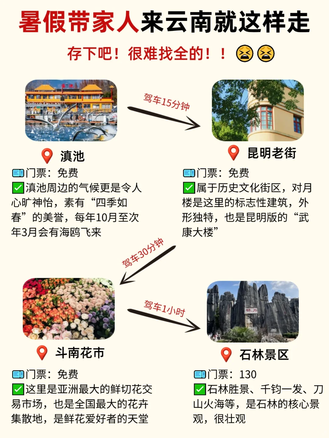 暑假带家人来云南就这样走！建议码住！