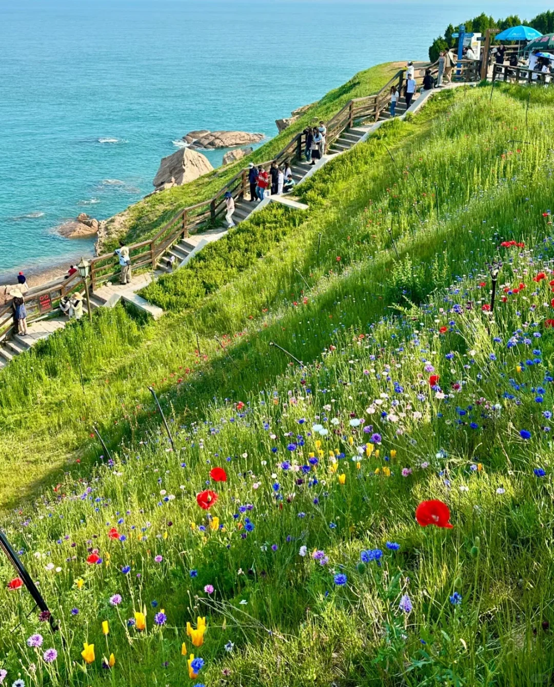 不做攻略=别来青岛！！！