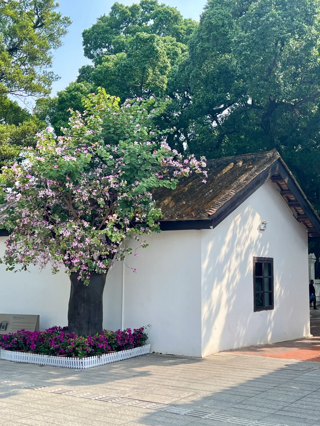 广州citywalk | 长洲岛真的好治愈啊