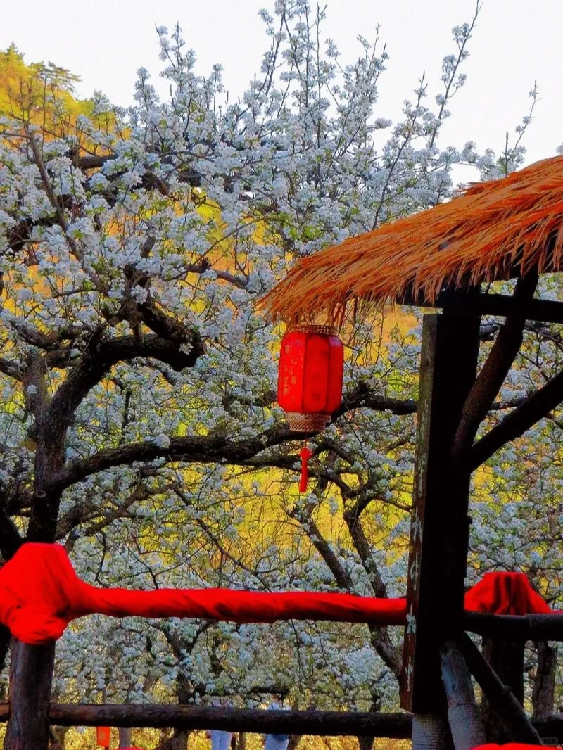 河北邯郸魏县|礼贤台·魏祠·神龟驮城