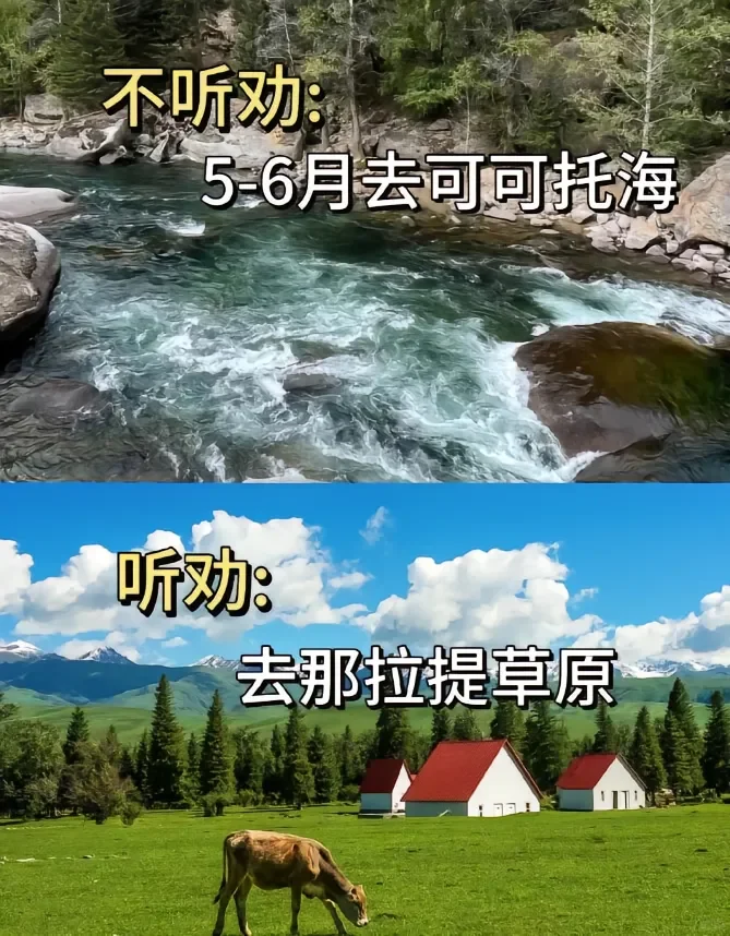 6月来新疆旅游景点怎么选⁉️千万别去错了