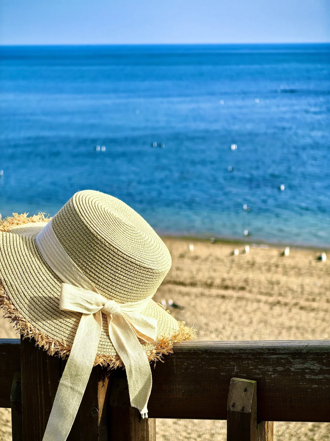 来大连📷这个机位千万不能错过‼️（附定位）