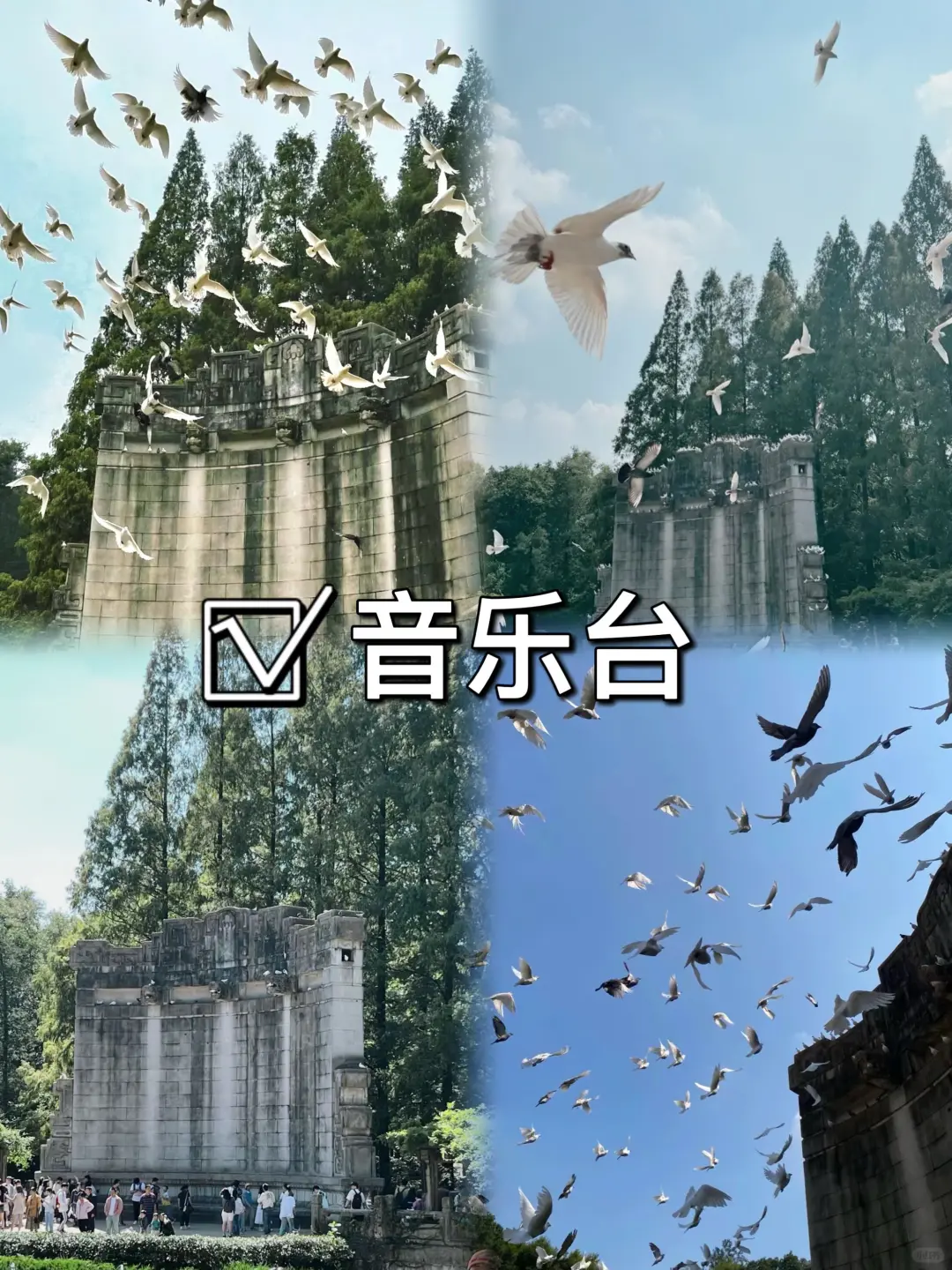 03女大📍南京/两日游精华版旅游攻略❗️