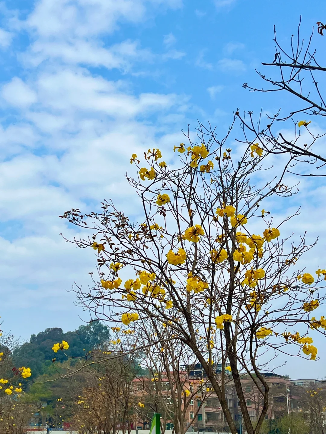 广州citywalk | 长洲岛真的好治愈啊
