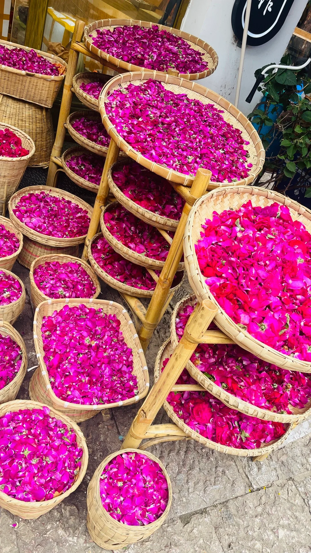 亲子自驾游，解锁26个省100市的旅行秘籍✨