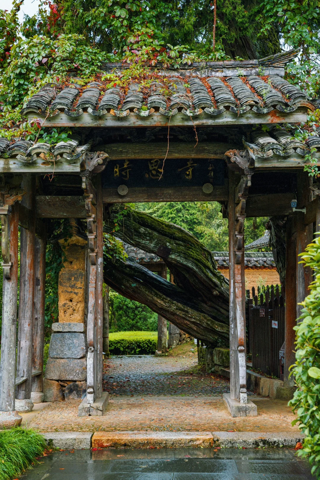 相比杭州，我更爱国家地理推荐的冷门小城