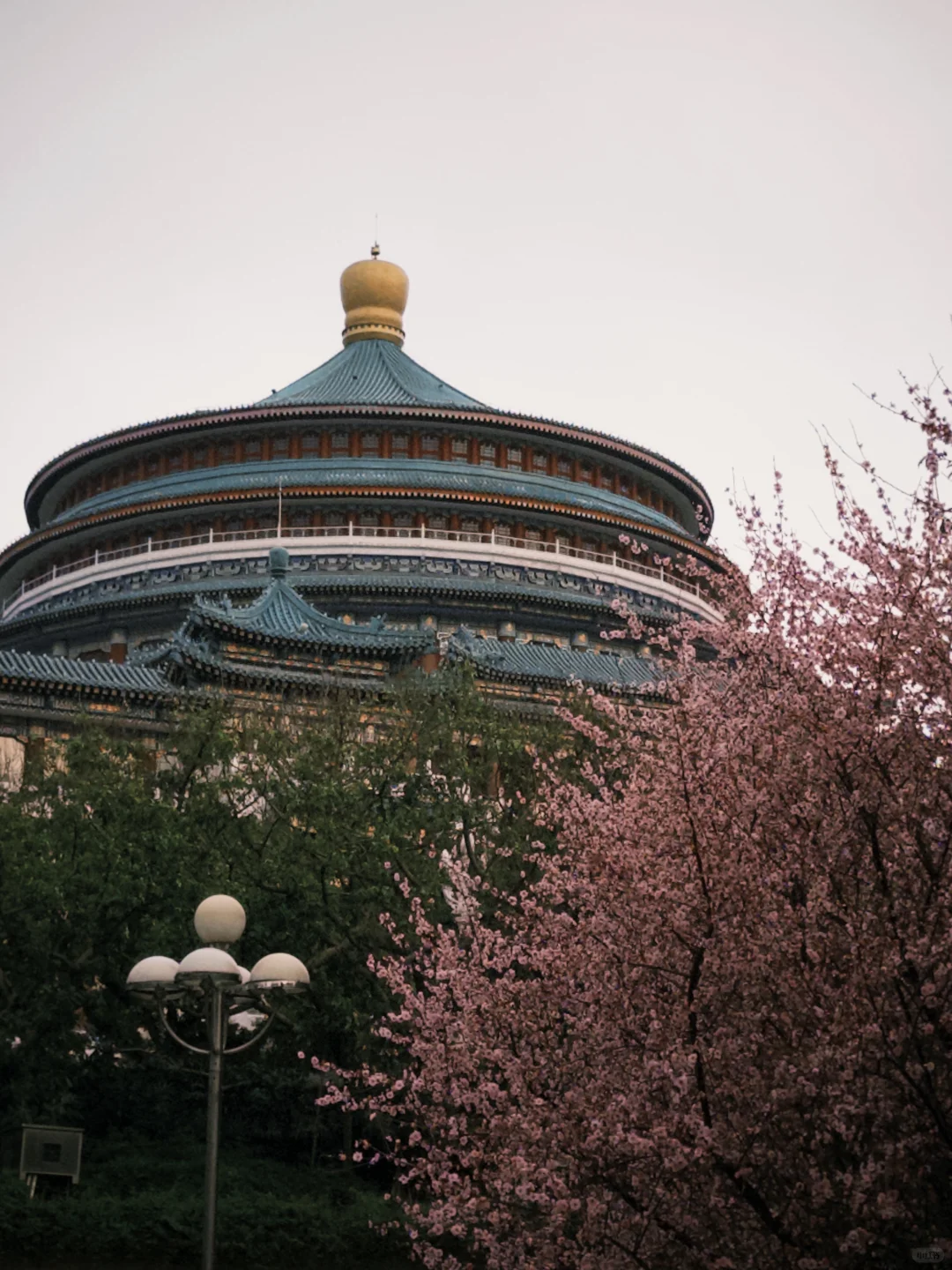 重庆3天2夜|超详细旅游攻略🧾人均800+!