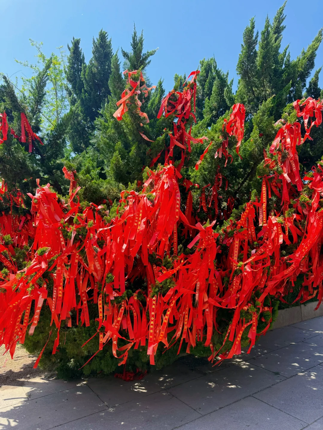 山东德州一日游📍海岛金山寺 禅意秘境