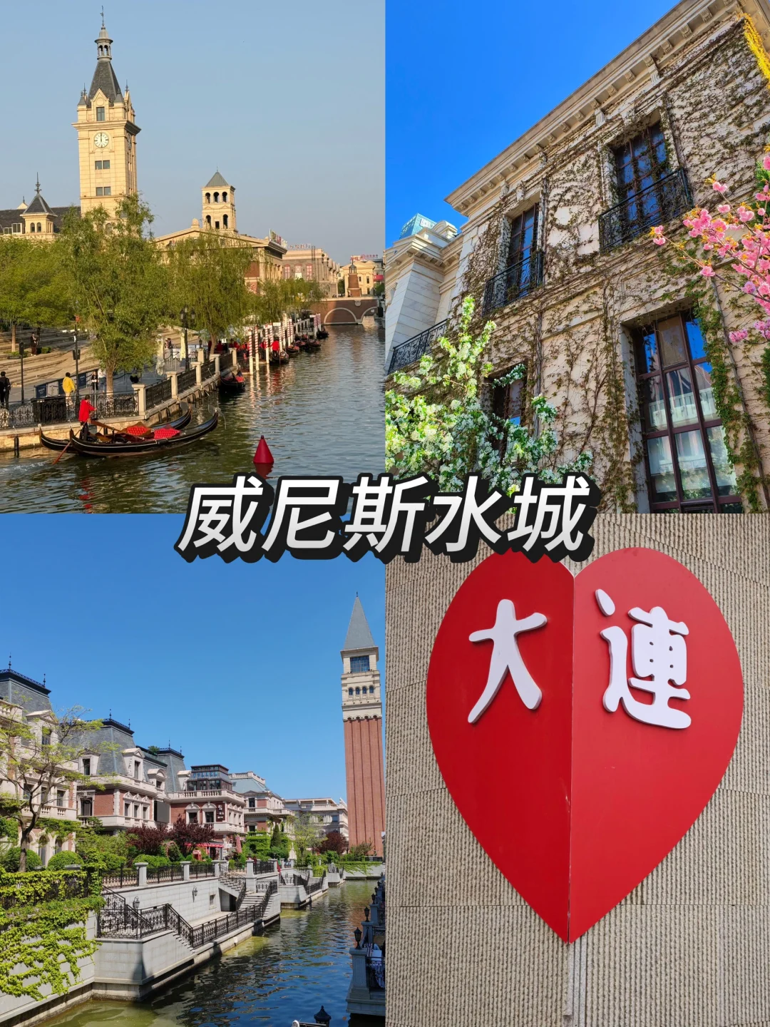 去大连前，听点不一样的大实话吧……