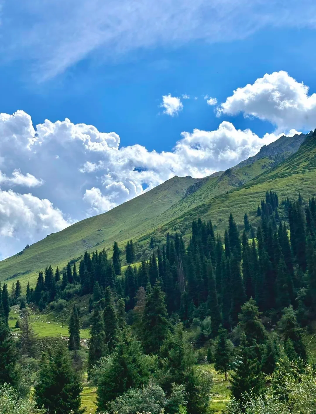 🌟比阿勒泰便宜5倍，川西一处被低估的小众地
