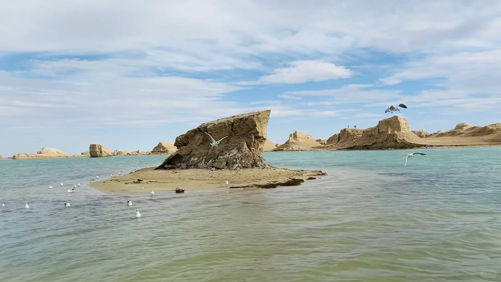 亲子自驾游，解锁26个省100市的旅行秘籍✨