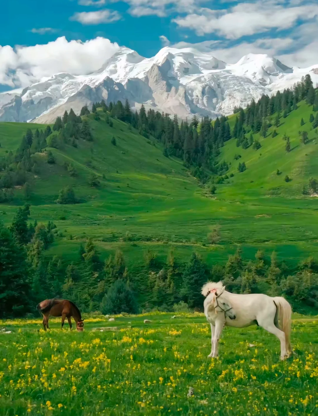 🌟比阿勒泰便宜5倍，川西一处被低估的小众地
