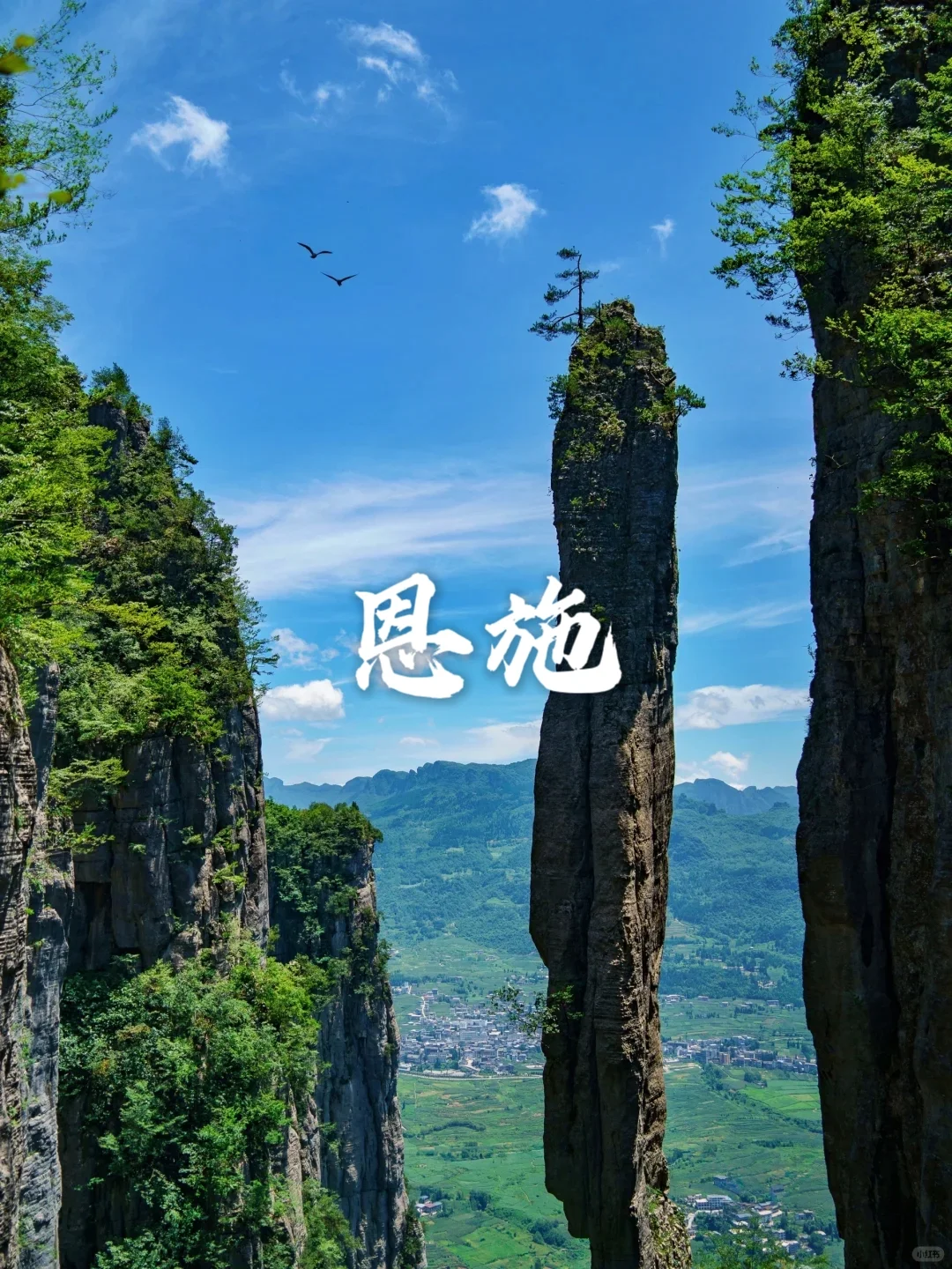 国内10个穷游💰避暑城市｜端午暑期必打卡