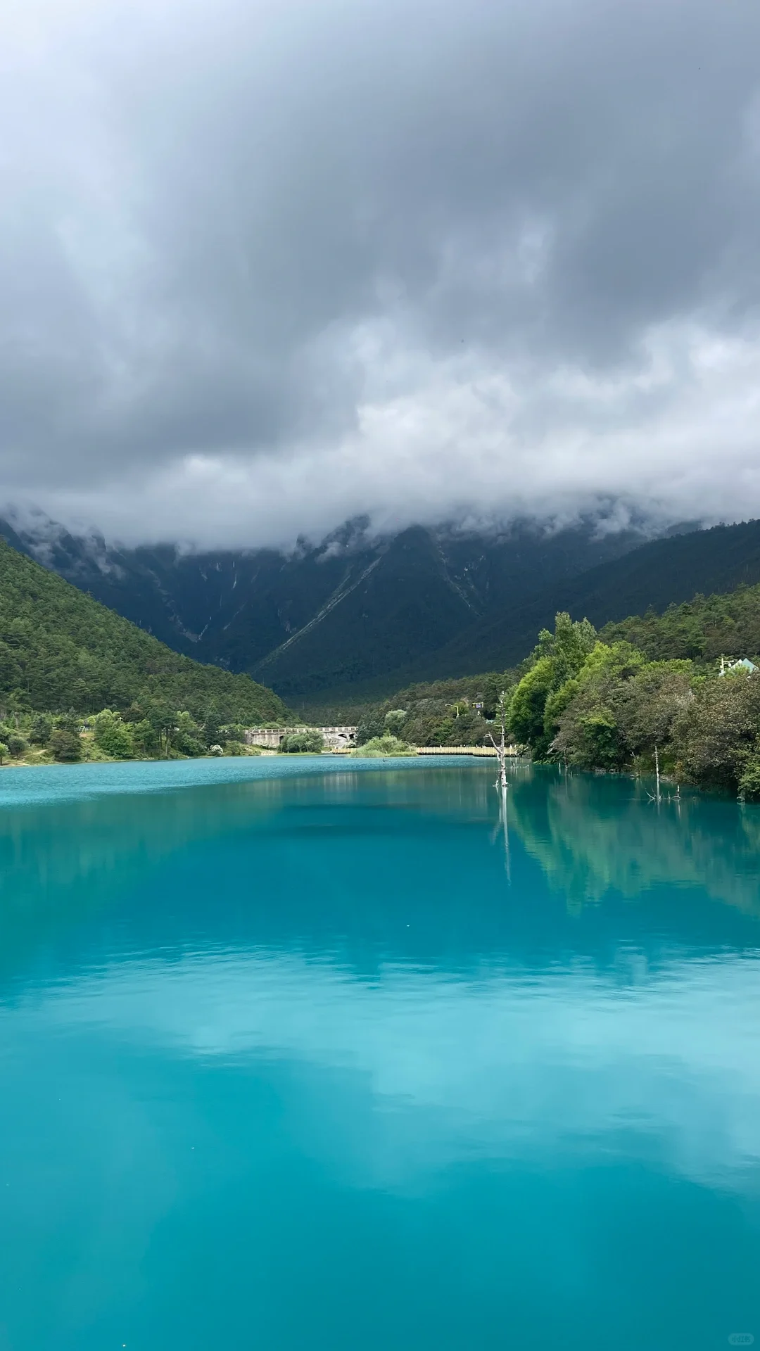 亲子自驾游，解锁26个省100市的旅行秘籍✨