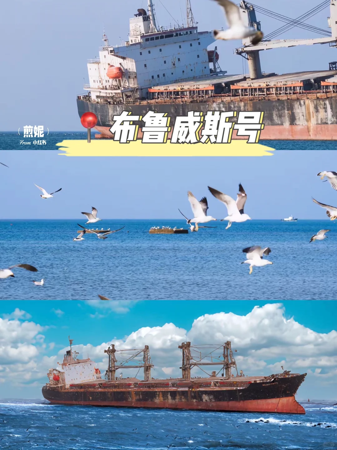 青岛纯玩游✅5天4晚才花1k+💰吃住行一价全