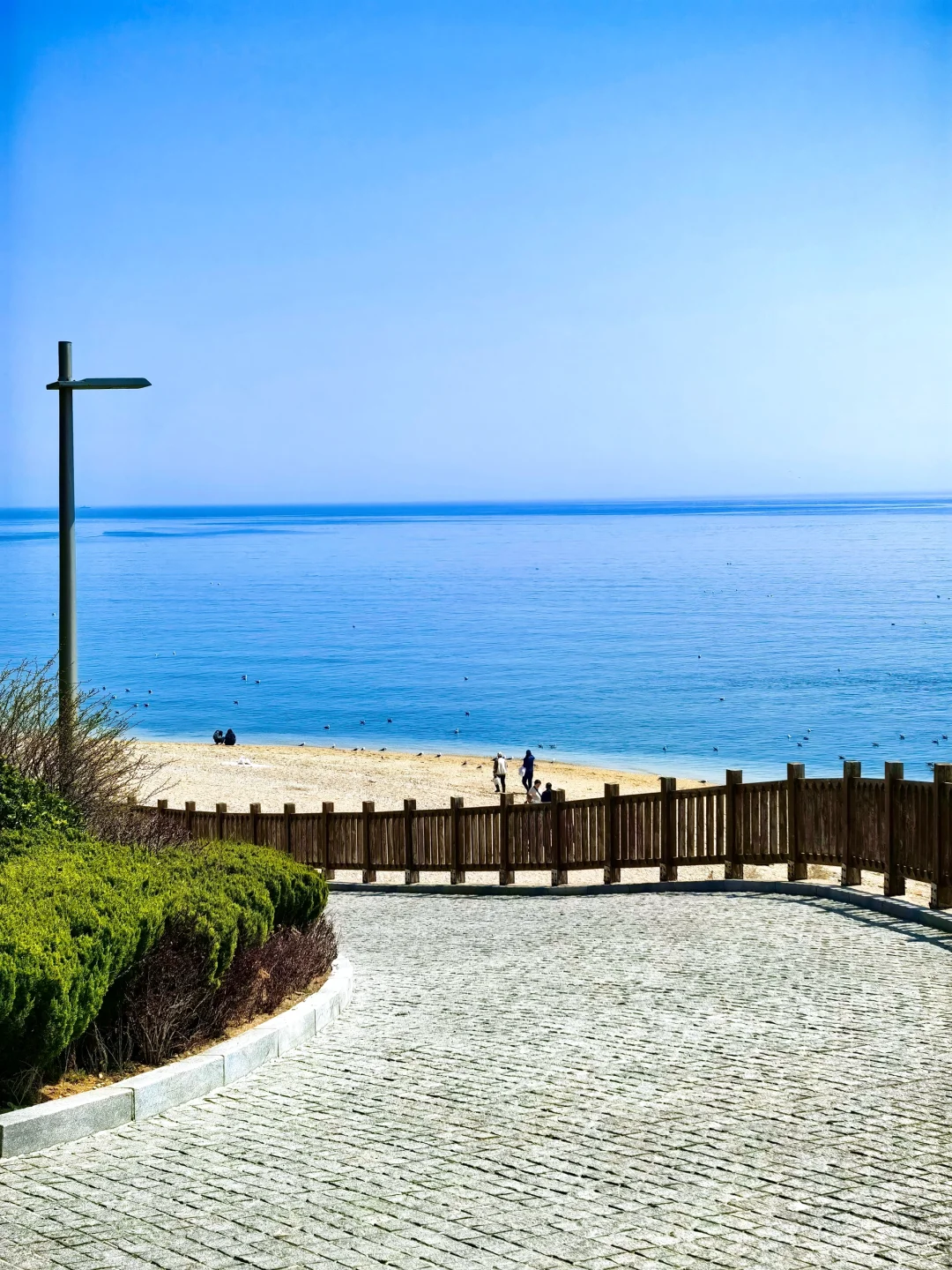 来大连📷这个机位千万不能错过‼️（附定位）