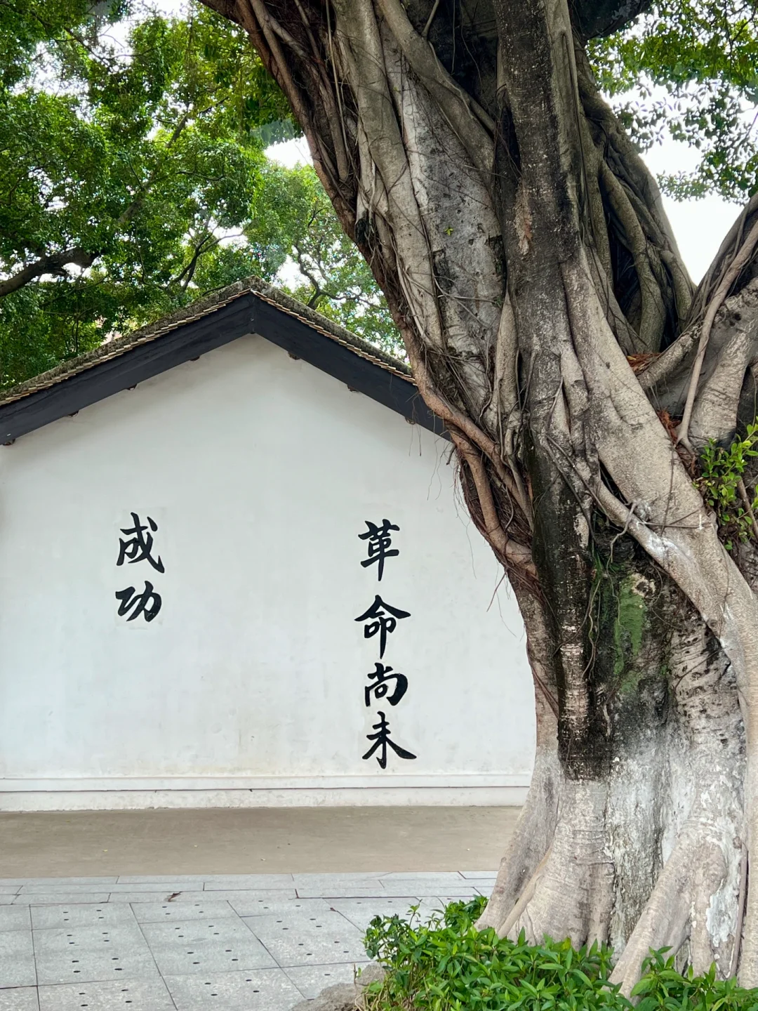 广州citywalk | 长洲岛真的好治愈啊