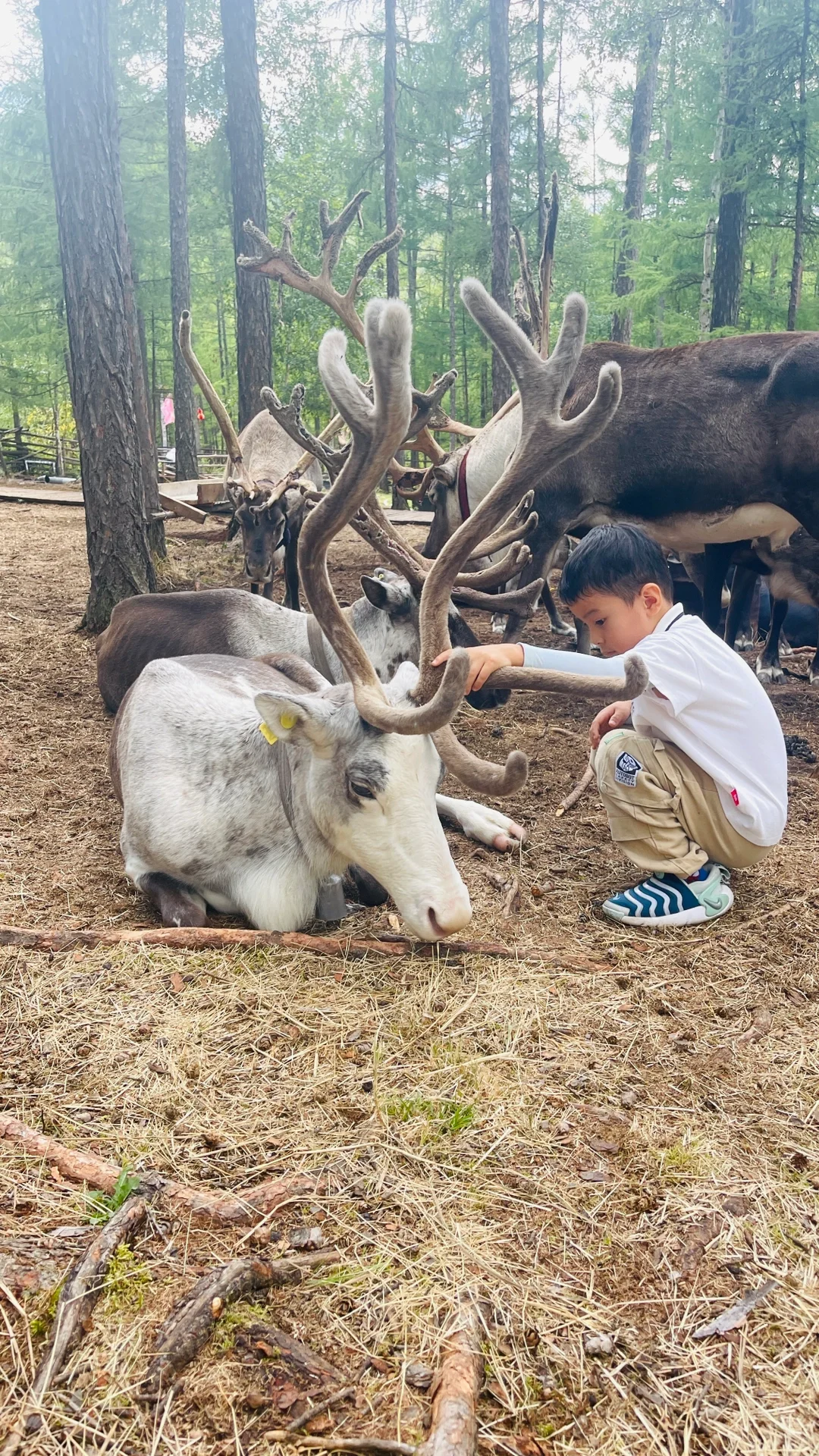 亲子自驾游，解锁26个省100市的旅行秘籍✨