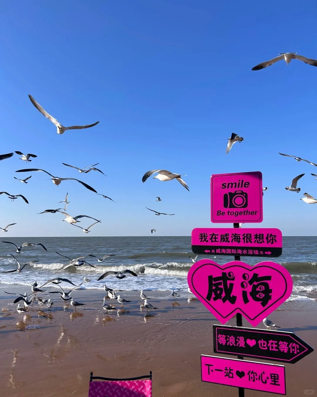 威海5-6月旅游攻略 | 海风不燥,浪漫正浓