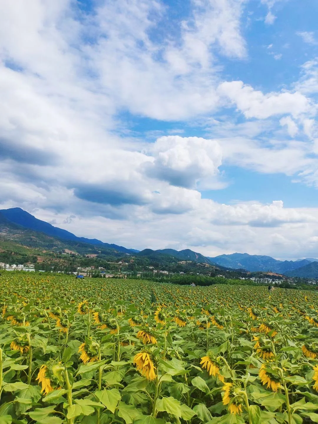 🌄成都出发德昌旅游攻略 | 入住峻豪酒店