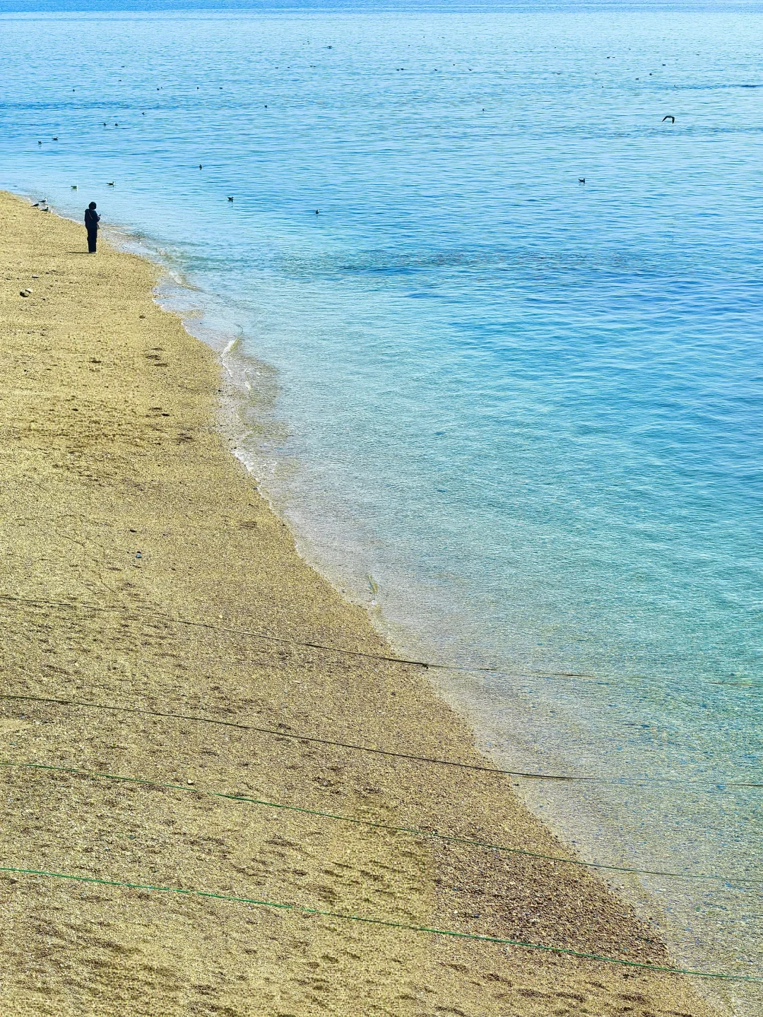 来大连📷这个机位千万不能错过‼️（附定位）
