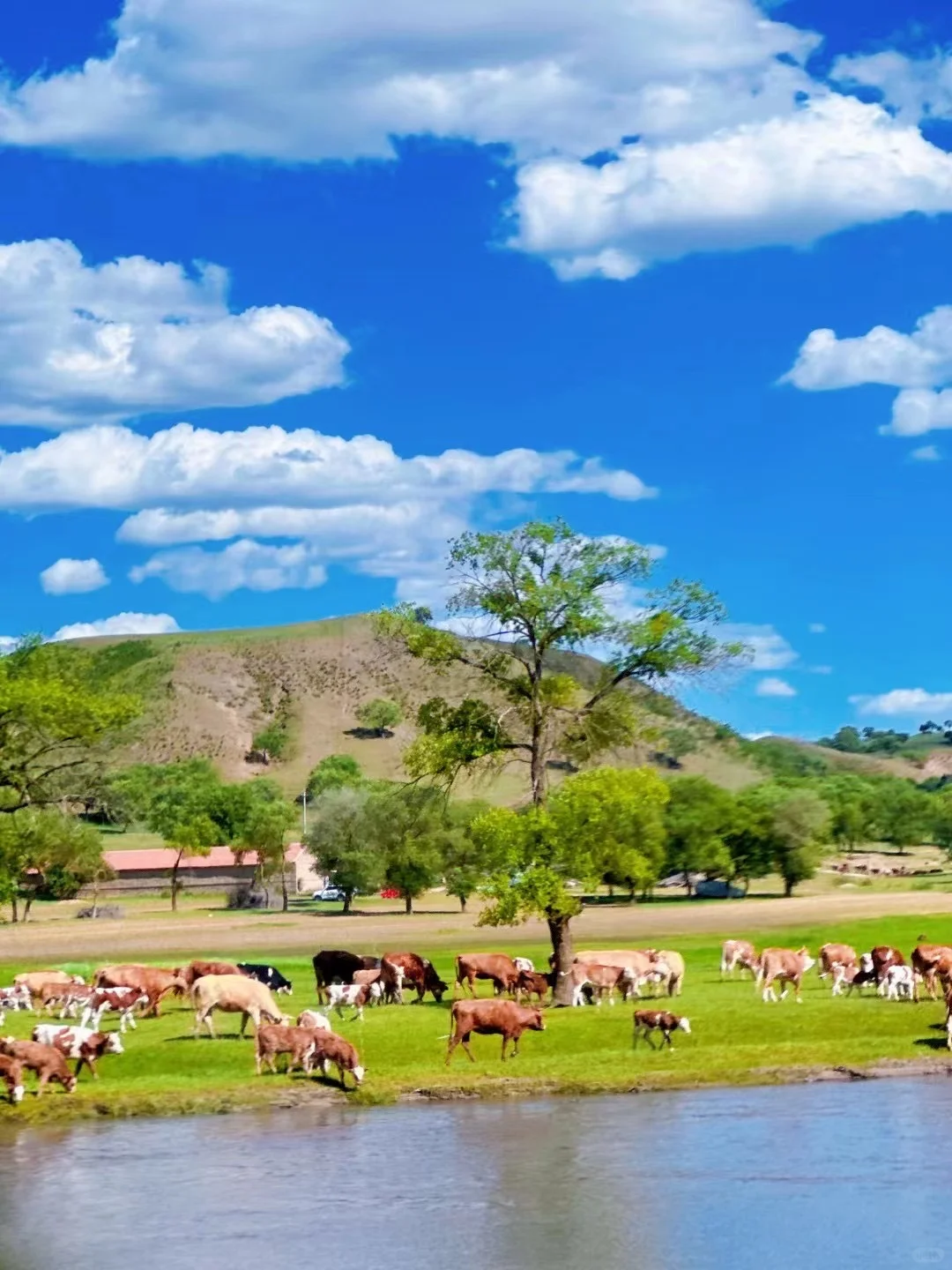 内蒙古多伦县旅游攻略,草原自驾+露营好去处