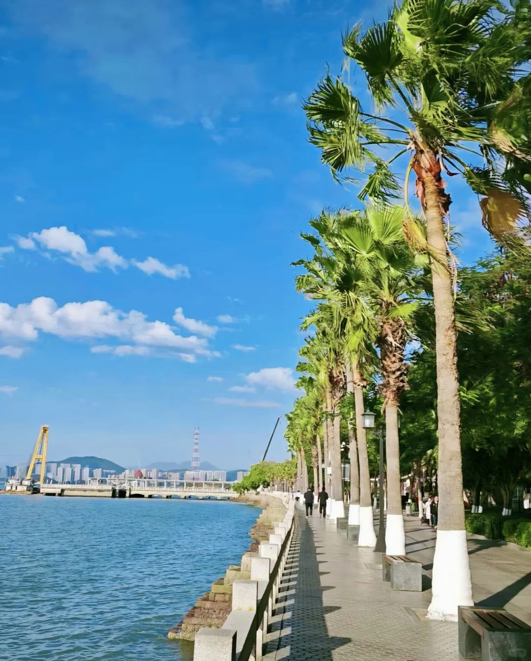 📝厦门旅游攻略 | 三天两夜怎么玩