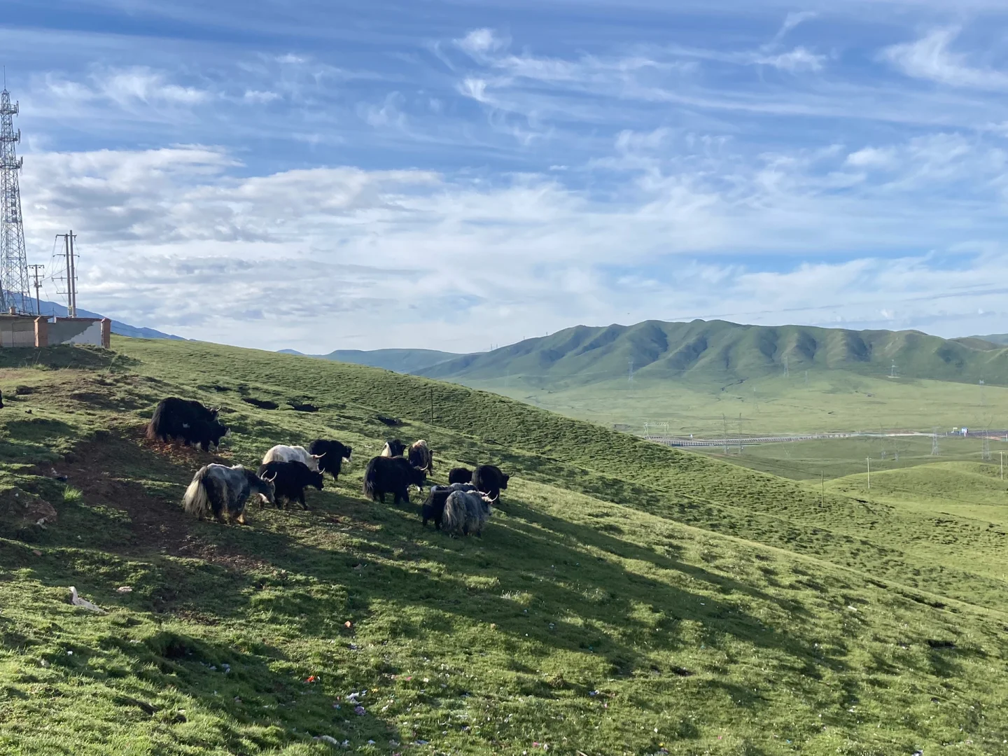 女大一人勇闯西北，穷游兰州+西宁